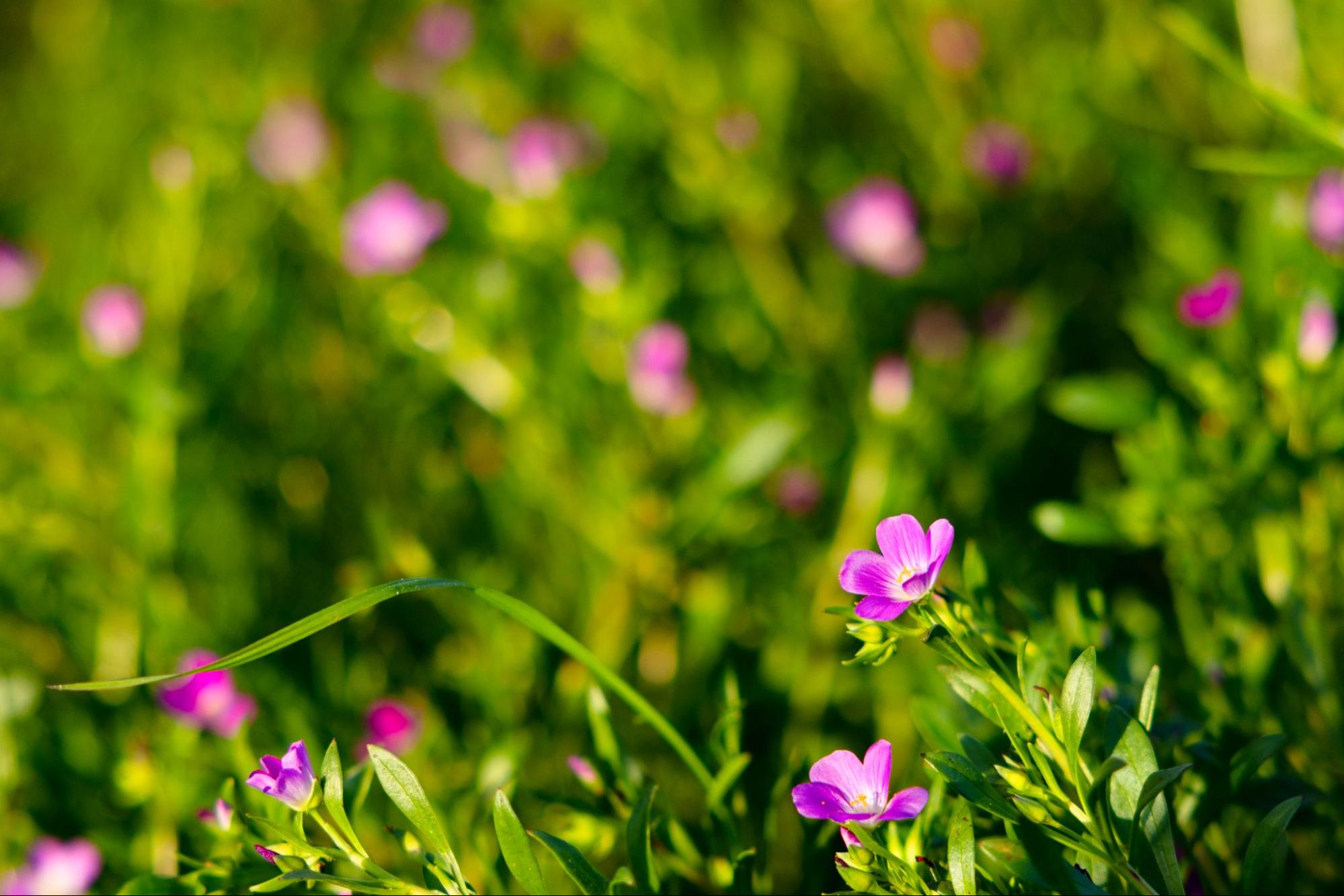 Wesley Haver / Daily Nexus