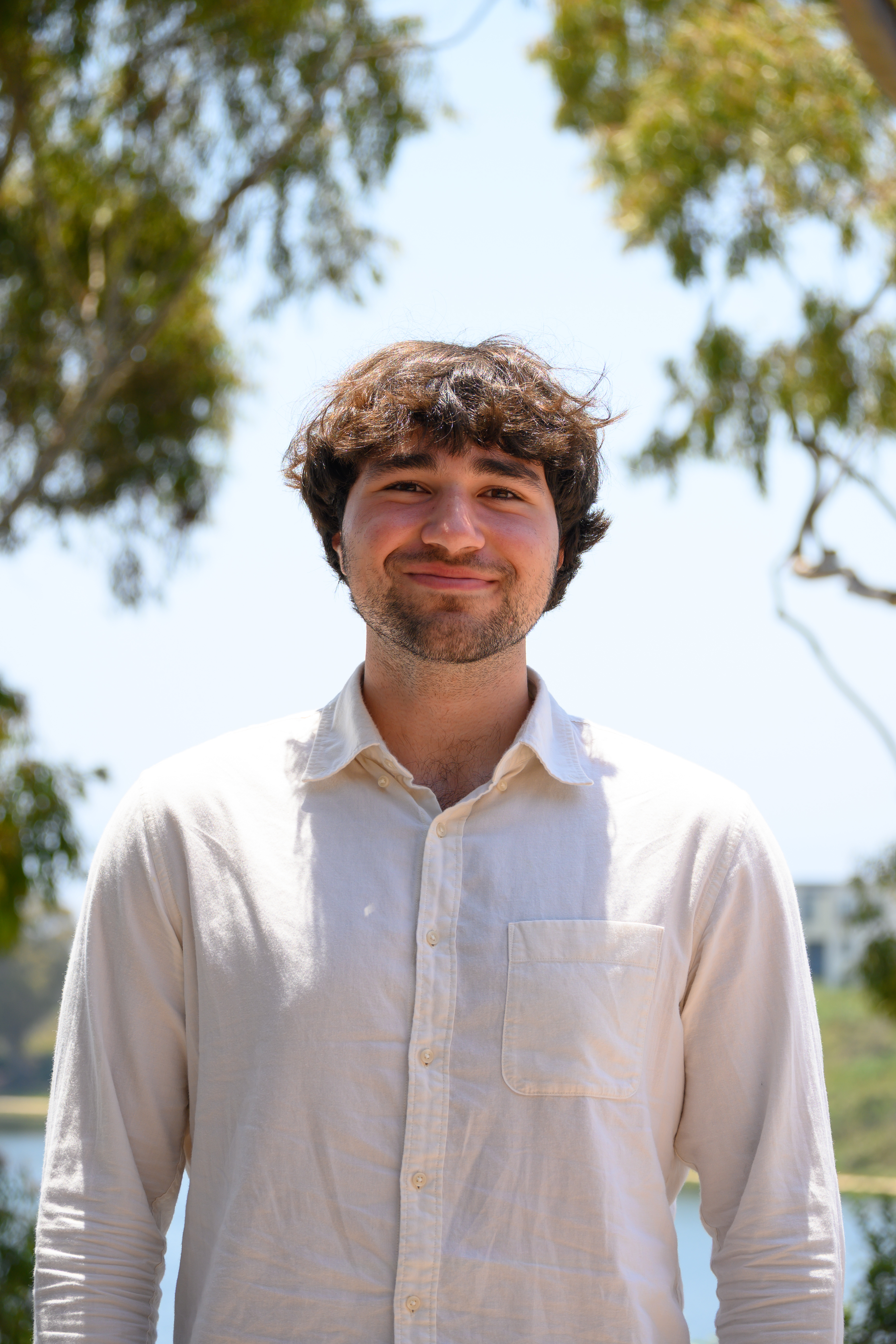 Profile picture of Tornike Bortsvadze